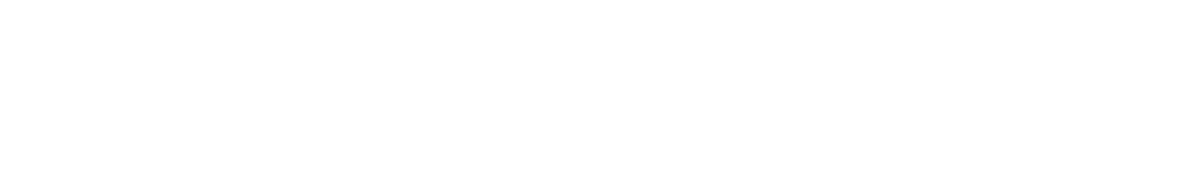 The CEO Magazine Logo