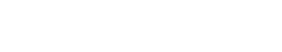 The Print Logo